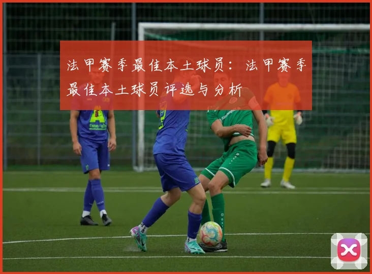 法甲赛季最佳本土球员：法甲赛季最佳本土球员评选与分析