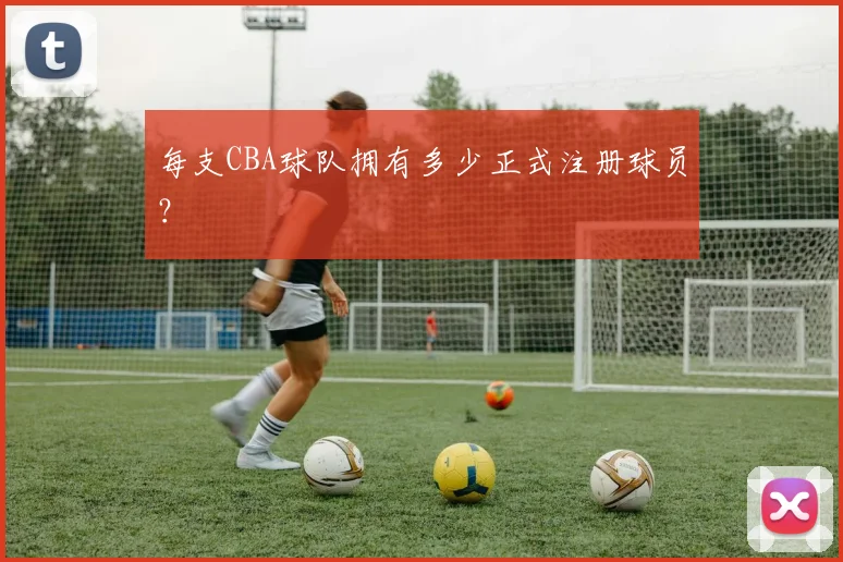 每支CBA球队拥有多少正式注册球员？