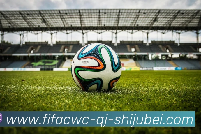 世界杯直播平台生态图