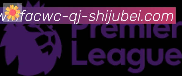 世界杯直播合作伙伴