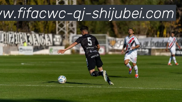 数据防护可视化