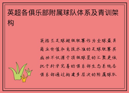 英超各俱乐部附属球队体系及青训架构