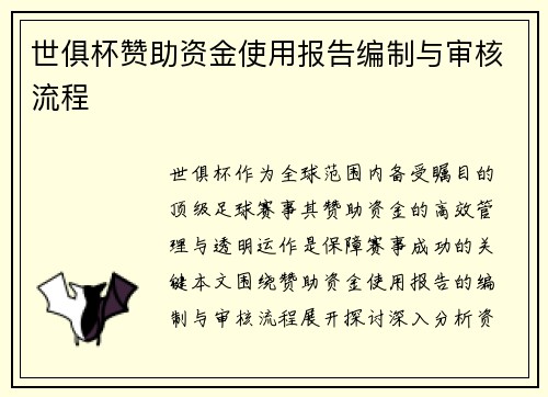 世俱杯赞助资金使用报告编制与审核流程